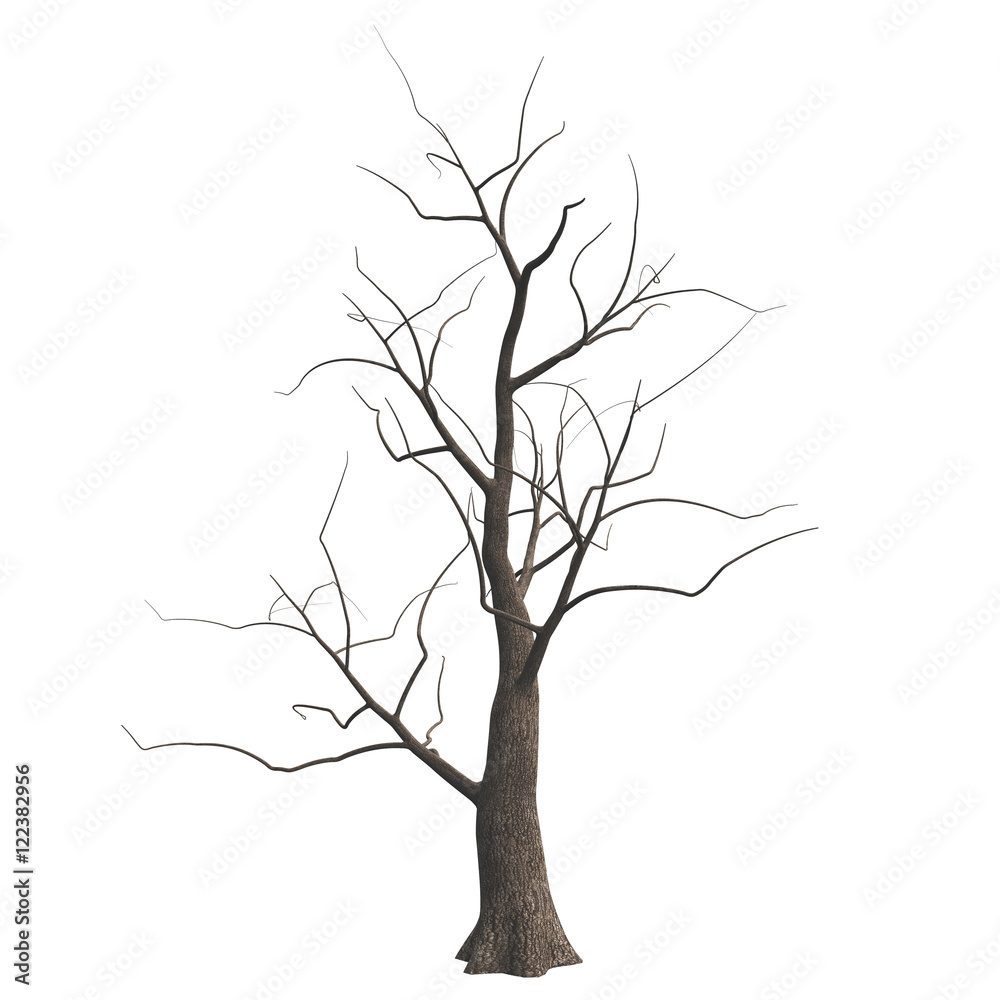 Fototapeta premium Dead Halloween tree isolated on white background. 3D illustration.