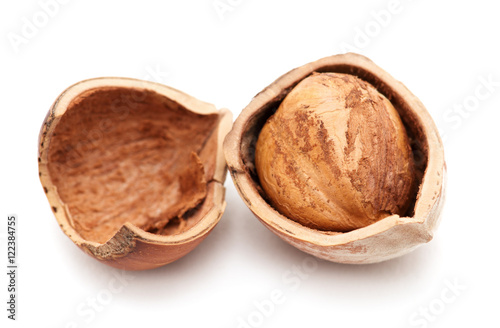 Hazelnuts on white background