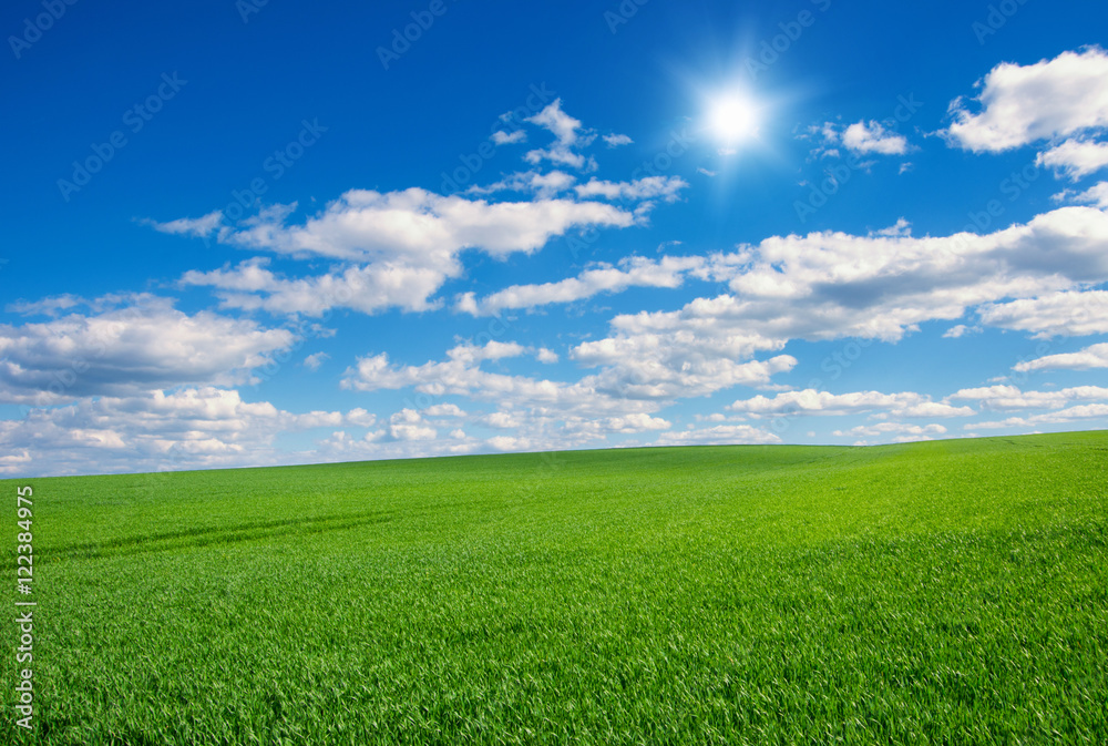 Image of green grass field and bright blue sky