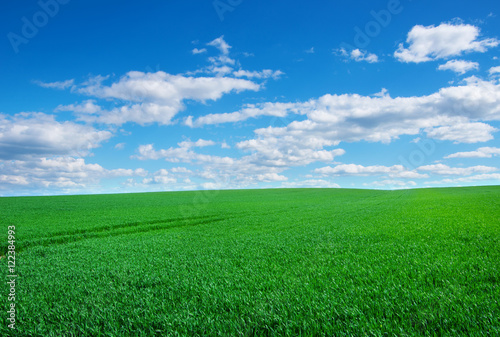 Image of green grass field and bright blue sky