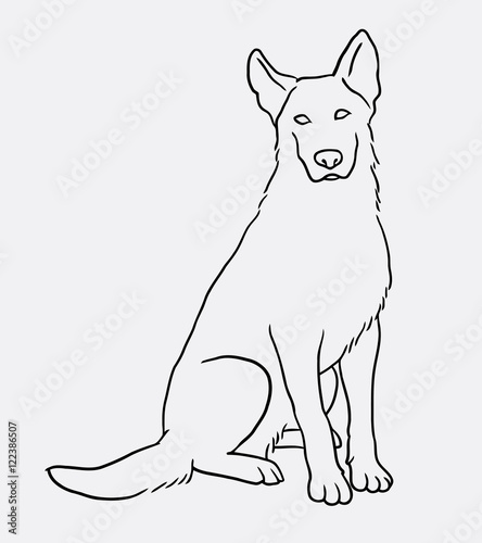 German shepherd sitting pet dog doodle style. Good use for symbol  logo  web icon  mascot  sign  or any design you want.