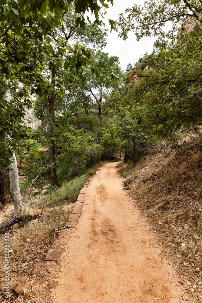 Path to the mountains at Zion National Park, Utah, USA Path to the mountains at Zion National Park, Utah, USA