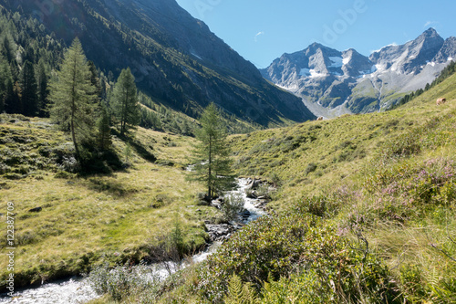 Fototapeta Naklejka Na Ścianę i Meble -  Fluss durch die Alpen