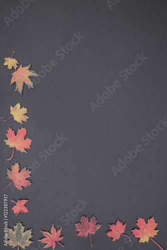 Schiefertafel mit Herbstblätter