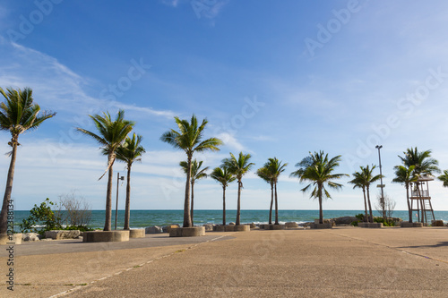 coconut trees on the beach © hugo1979
