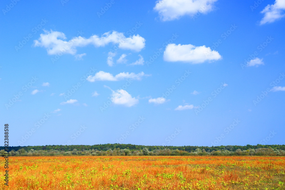 Landscape in fall with clouds on blue sky