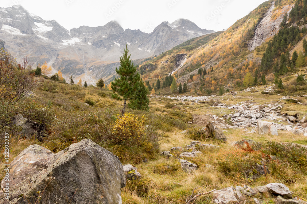 Herbst Herbst