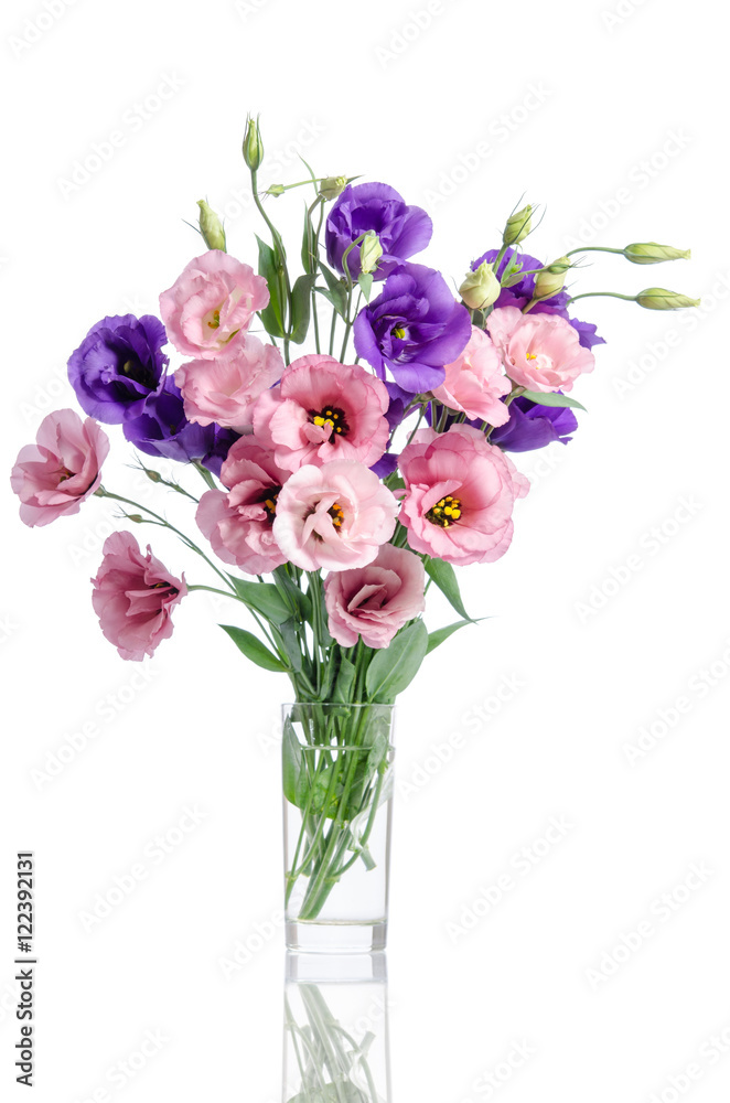 bunch of violet, white and pink eustoma flowers in glass vase is