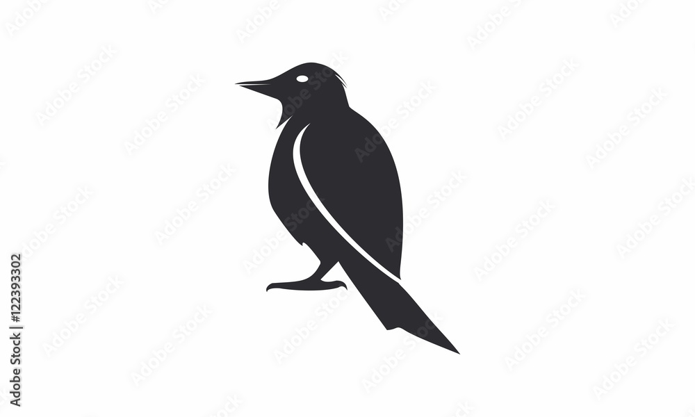 Obraz premium black bird vector logo