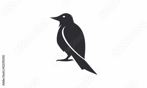 black bird vector logo