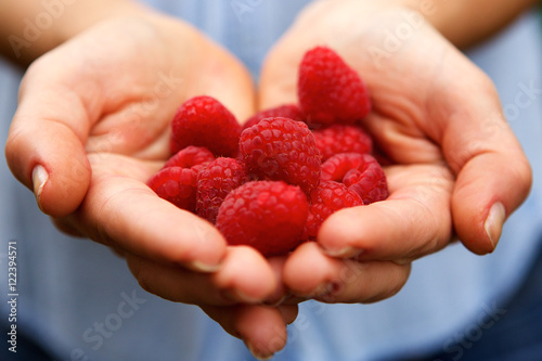 Female hands holding fresh raspberries