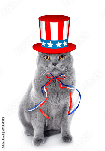 Fototapeta Naklejka Na Ścianę i Meble -  Cute cat with Uncle Sam hat and bow on white background. USA holiday concept.