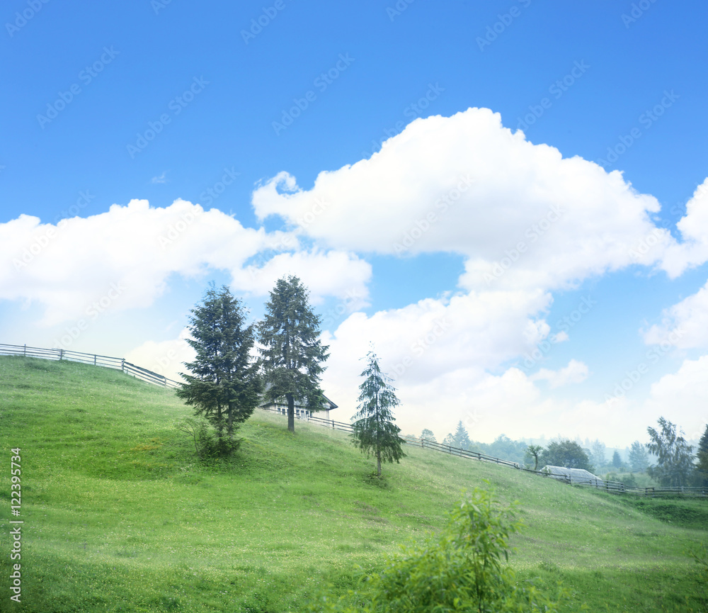 Carpathian mountains in summer on blue sky background Carpathian mountains in summer on blue sky background