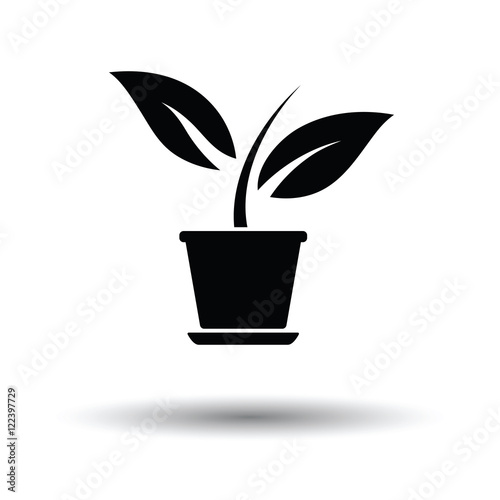 Plant in flower pot icon