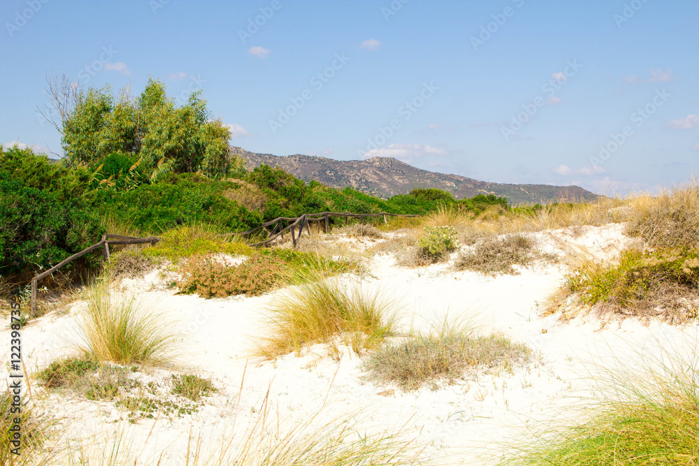 Sandy beach La Cinta near San-Teodoro, Sardinia, Italy