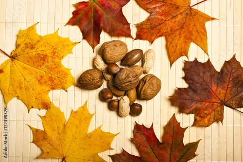 various kinds of nuts - dried fruit - over wooden background with autumn leaves