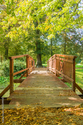      Wooden pedestrian bridge in Vinica arboretum  Varazdin  Croatia  in autumn 