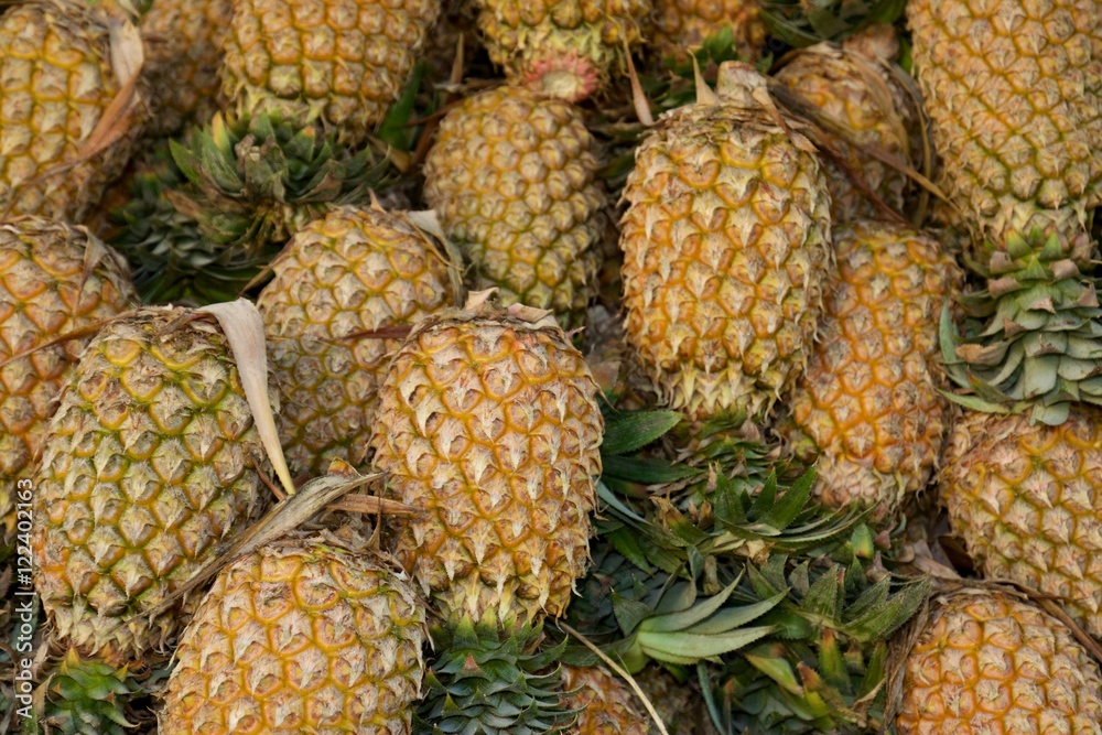 Set of many pineapples foto de Stock Adobe Stock