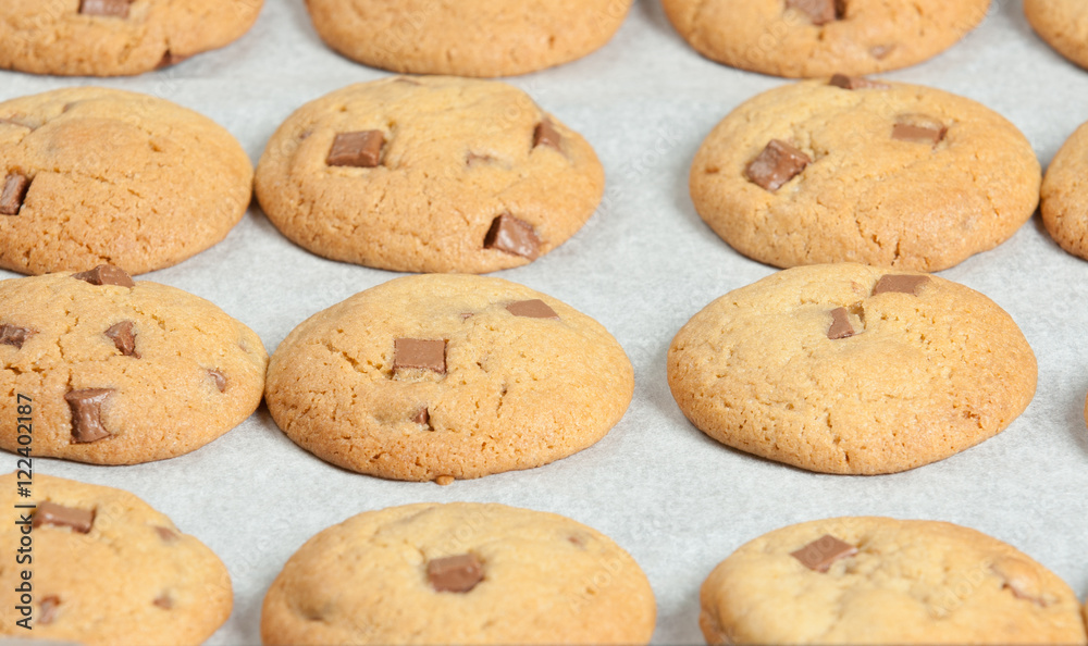 Homebaked Chewable Butter Biscuits With Milk Chocolate Chunks On