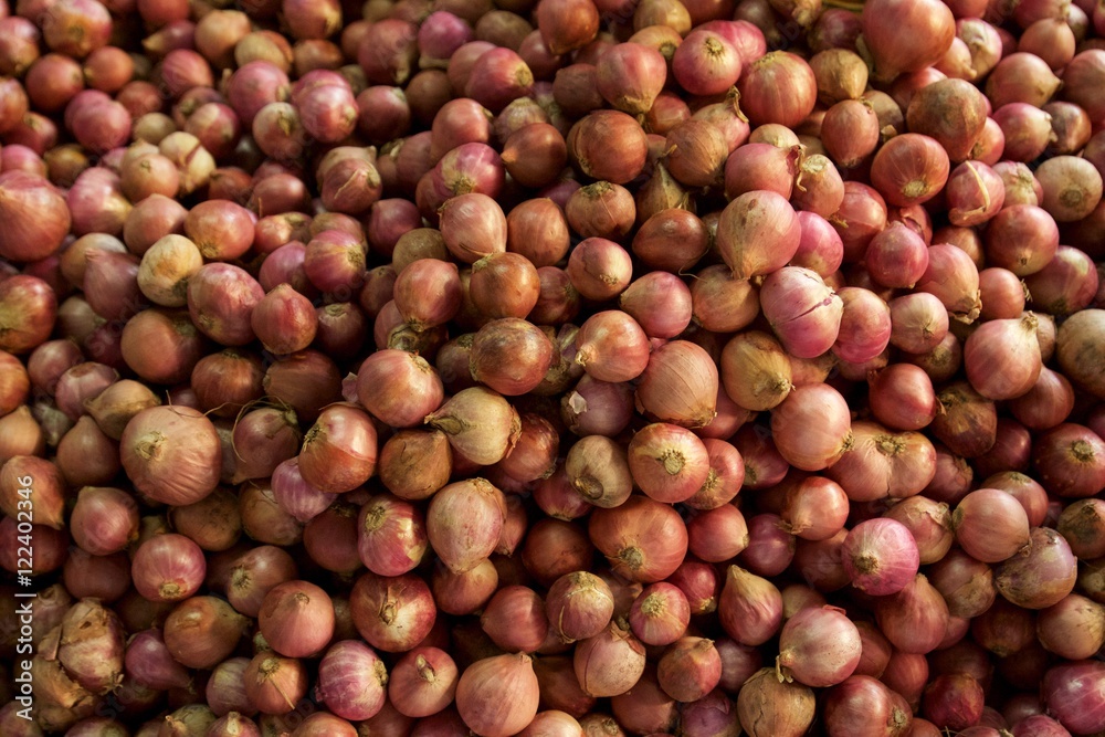 Set of many Shallots Set of many Shallots