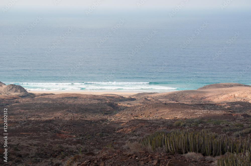 Fuerteventura, Isole Canarie: i cactus e la vista sulla spiaggia di Cofete, una delle spiagge più selvagge dell'isola con alle spalle montagne altissime, il 7 settembre 2016 Fuerteventura, Isole Canarie: i cactus e la vista sulla spiaggia di Cofete, una delle spiagge più selvagge dell'isola con alle spalle montagne altissime, il 7 settembre 2016