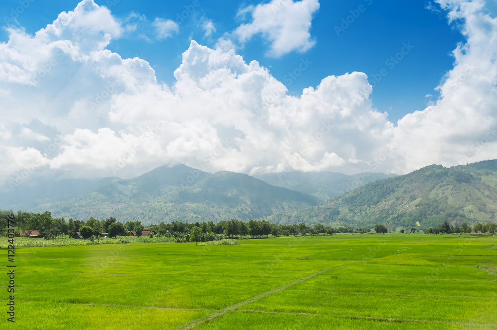 Green field and blue sky