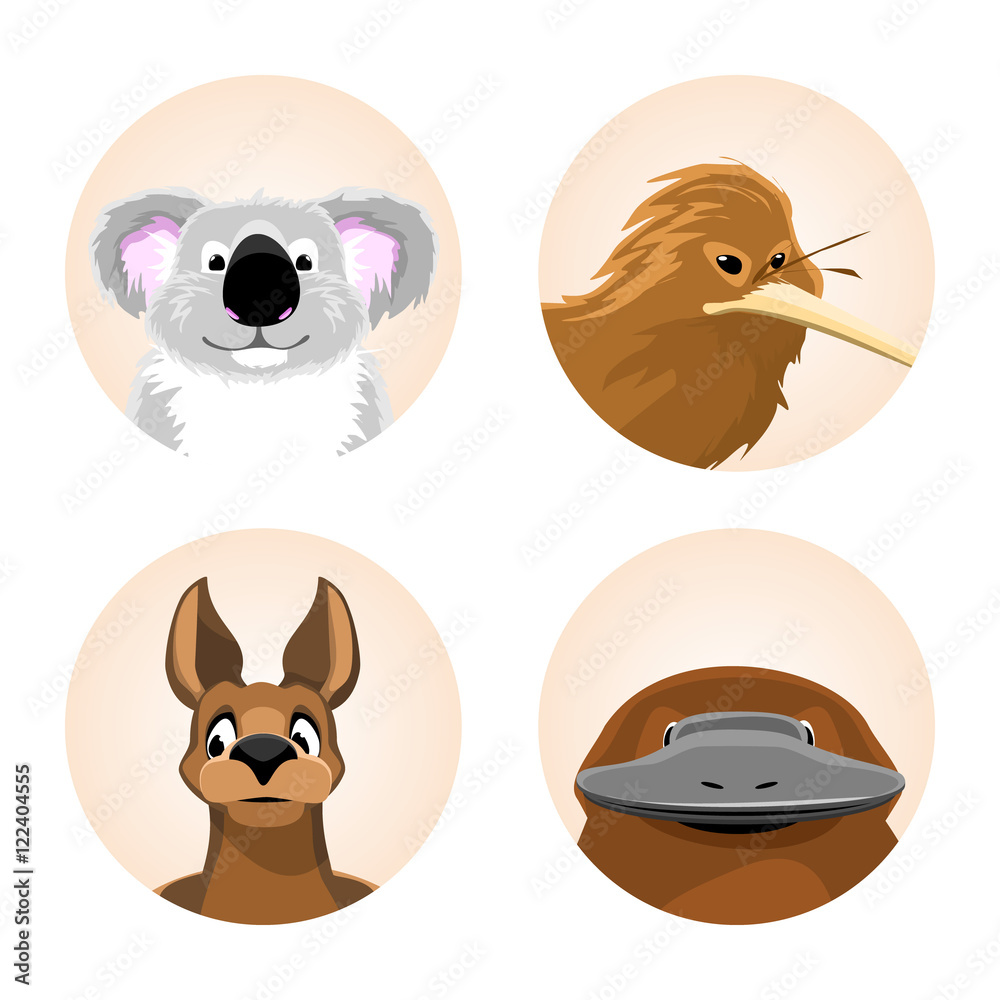 set of avatars Australian animals. funny cartoon of koala, kiwi, kangaroo,  platypus. vector illustration Stock Vector | Adobe Stock