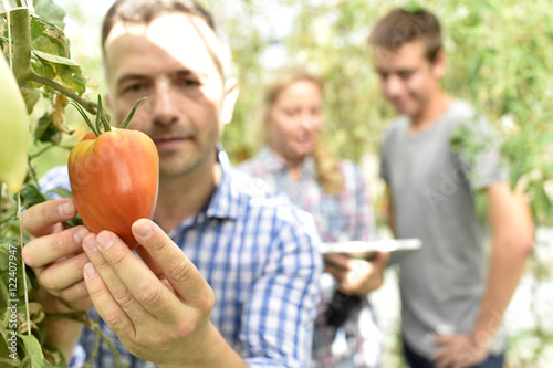 Canvas Print Portrait of market gardener in greenhouse