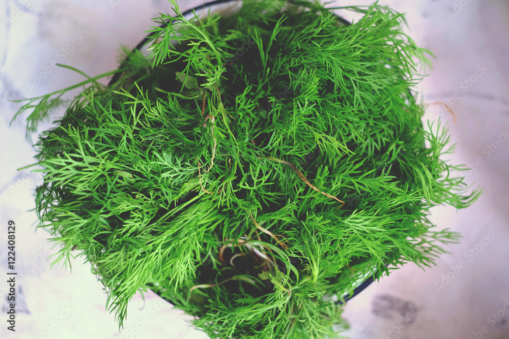 Fototapeta premium Dill in a village on the table