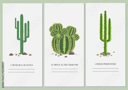 Business cards set with a cactus design.