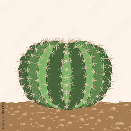 Big round cactus isolated vector.