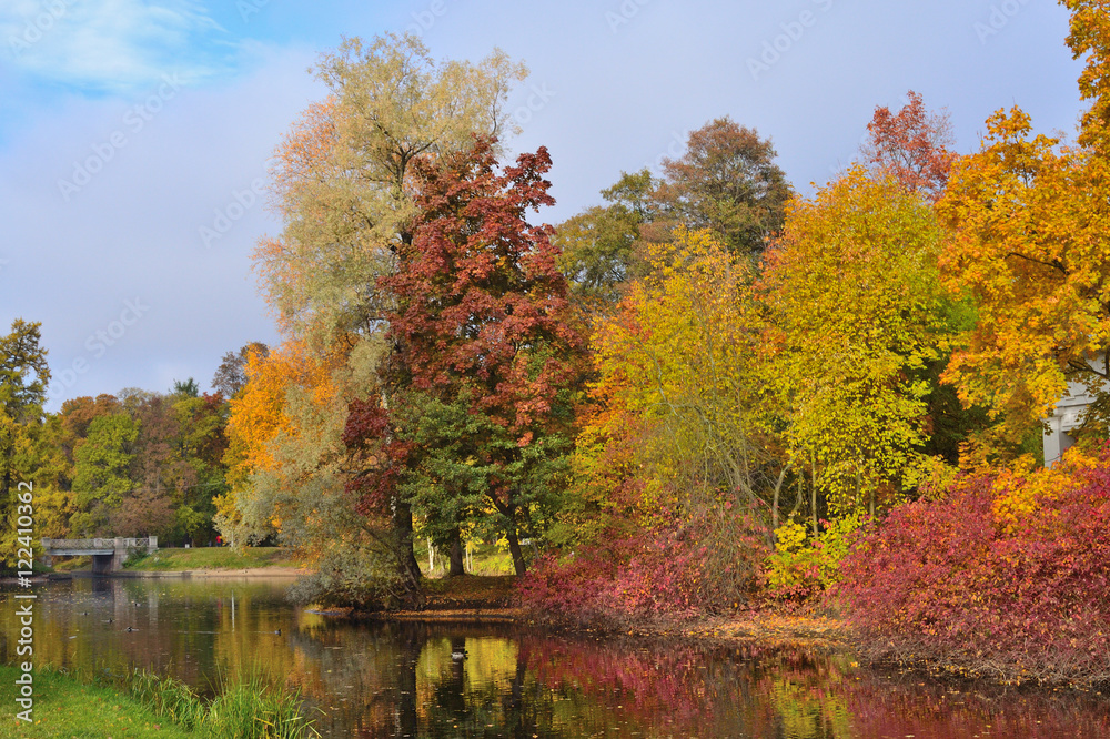 Beautiful autumn trees