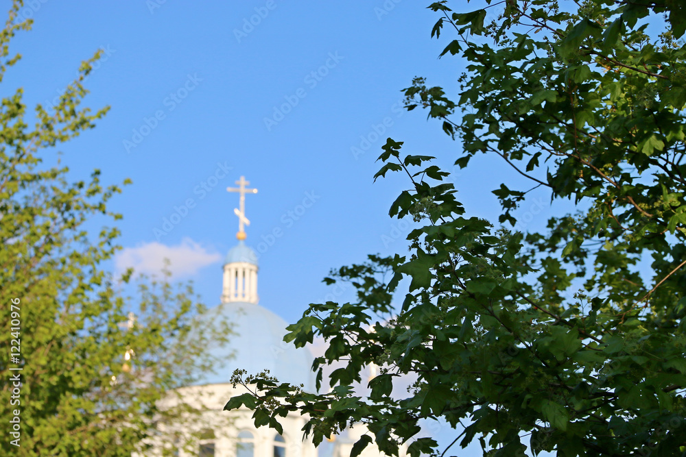 Официальная христианская православная церковь в Украине и России