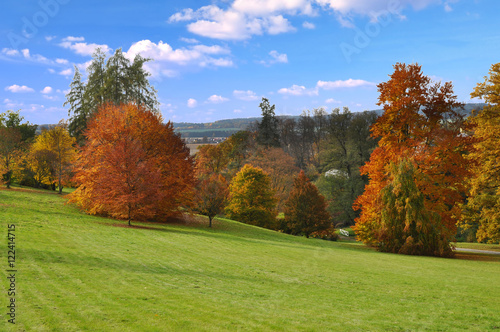 Autumn in the Park © petrarottova