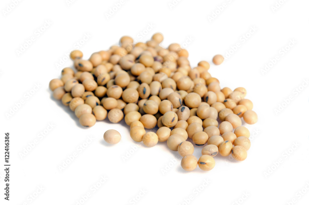 Soybean or soy bean isolated on white background Soybean or soy bean isolated on white background