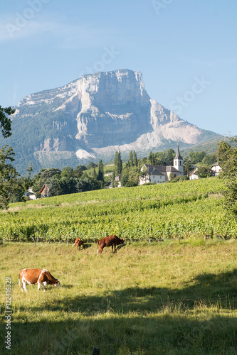 Village d'Apremont et le Mont Granier