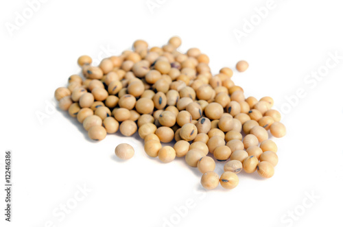 Soybean or soy bean isolated on white background