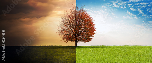 Sommer-Herbst