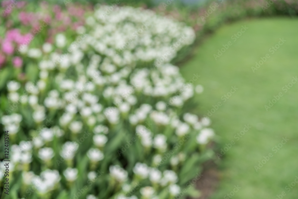 Fototapeta premium Abstract nature blur