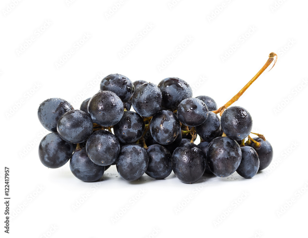 Fototapeta premium Bunch of black grapes