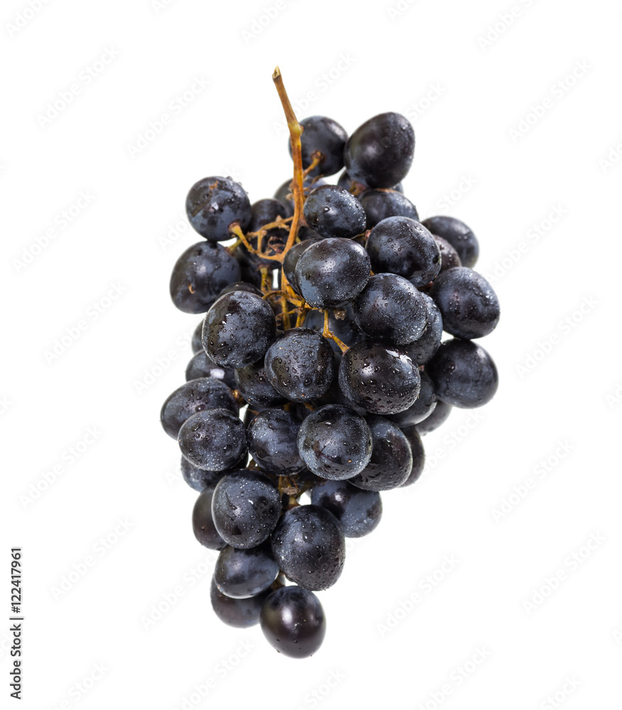 Bunch of grapes isolated on white background Bunch of grapes isolated on white background