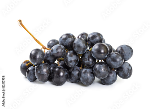 Ripe black grapes