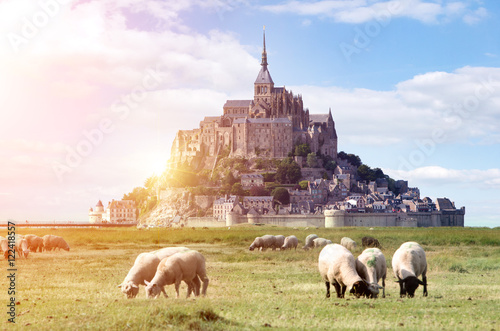 Fotografie, Obraz Mont saint Michel in Normandy, France