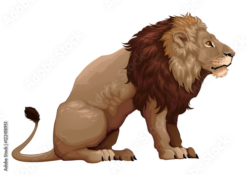 Profile of a sitting lion