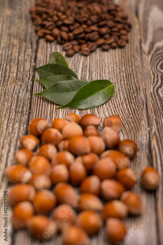 hazelnuts, cocoa beans and green leaves on wooden background