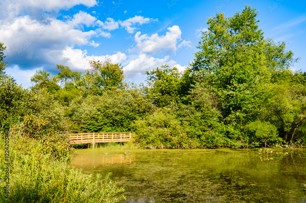 Jamestown Audubon Center and Sanctuary Jamestown Audubon Center and Sanctuary