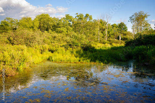 Jamestown Audubon Center and Sanctuary photo