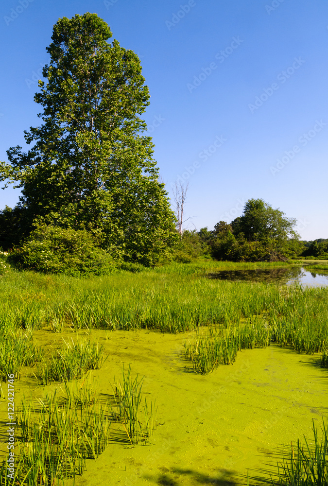 Jamestown Audubon Center and Sanctuary Jamestown Audubon Center and Sanctuary