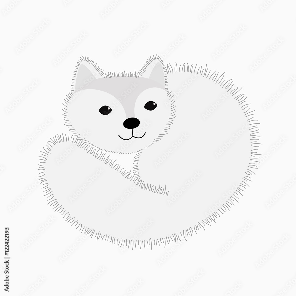 Cute white Arctic Fox vector Cute white Arctic Fox vector