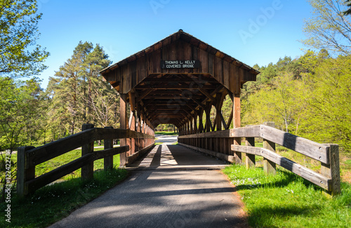 Allegany State Park photo